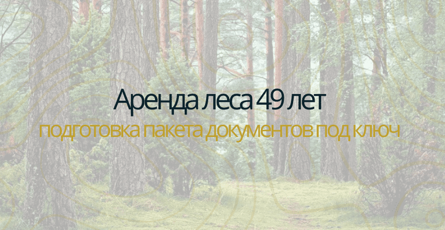 Аренда леса на 49 лет в Еманжелинске