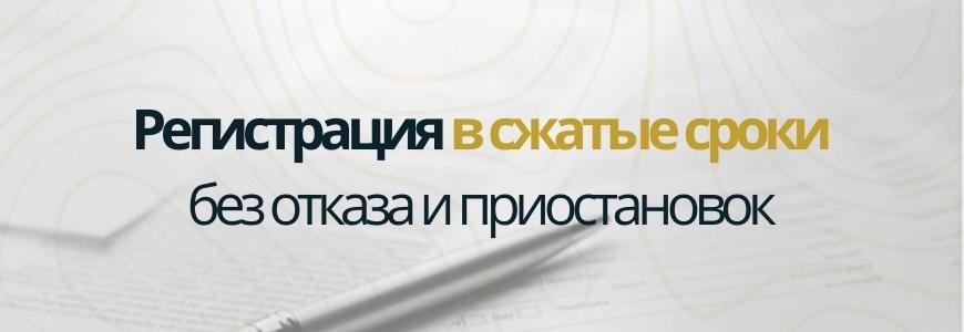 Регистрация в сжатые сроки под ключ в посёлке Борисовка